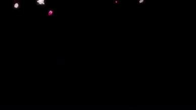 柔光花瓣雨视频的预览图